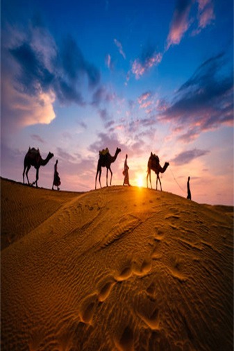 Udaipur,Jodhpur,Jaisalmer,Jaipur,Ranthabhor